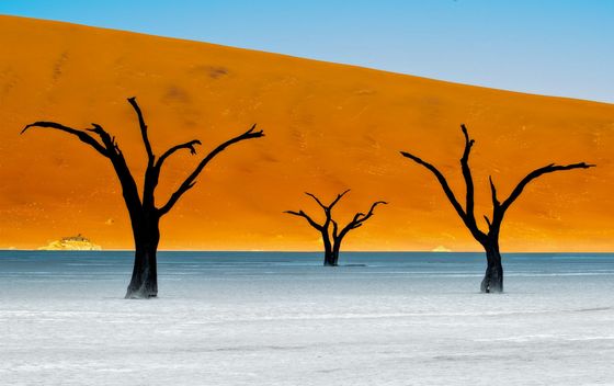 DeadVlei u Namibiji - 2