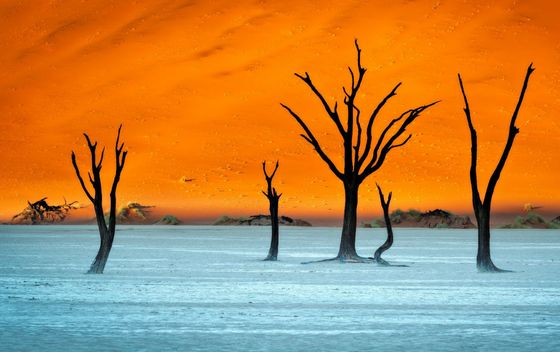 DeadVlei u Namibiji - 3
