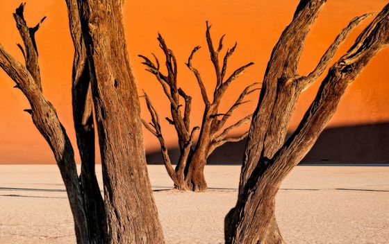 DeadVlei u Namibiji - 5