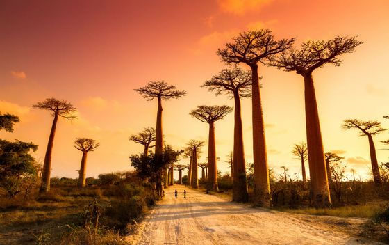 Madagaskar