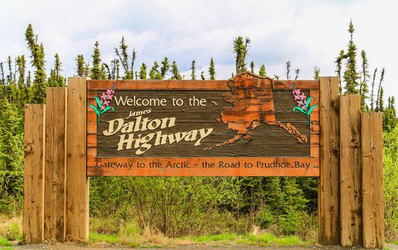 Dalton - 5