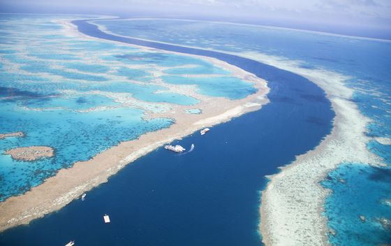 Veliki koraljni greben