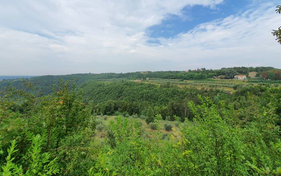 Grožnjan (fotografirano sa Samsung Galaxy Note10+)