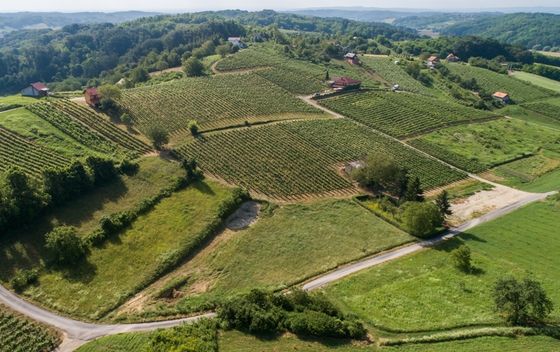 Hrvatska vinska priča u finalu natjecanja američkog Wine Spectatora - 1