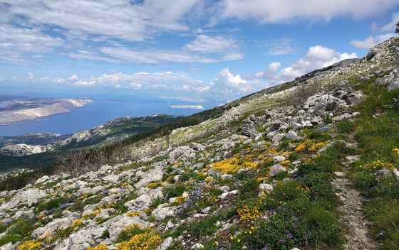 Via Adriatica Trail - 20