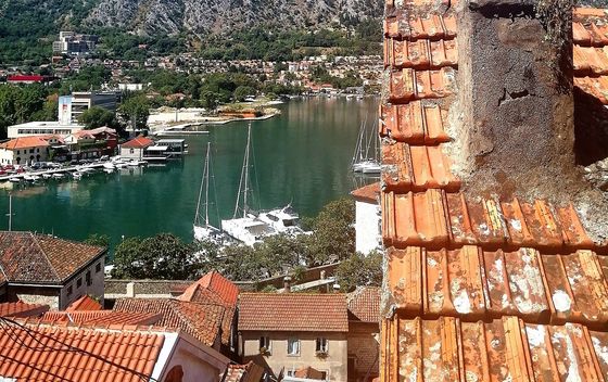 Kotor
