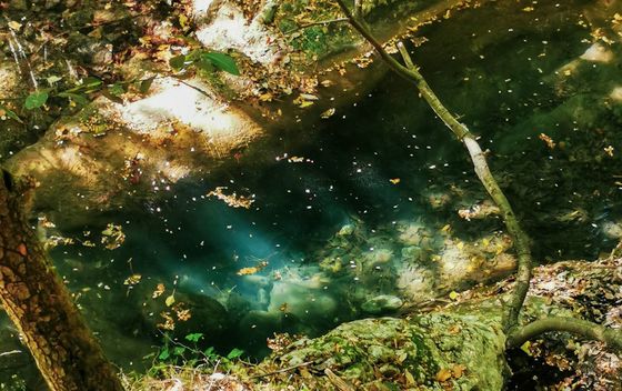 Labin - Rabac planinarske staze - 6