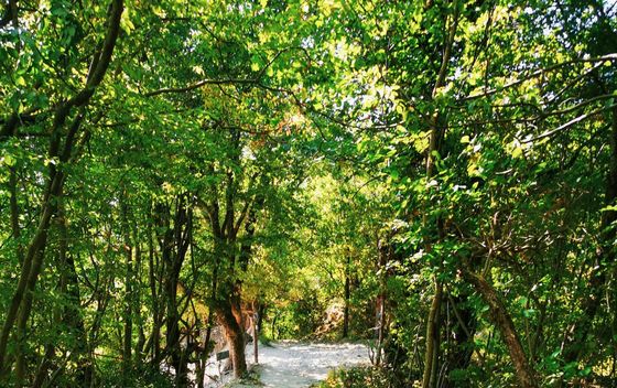 Labin - Rabac planinarske staze - 7