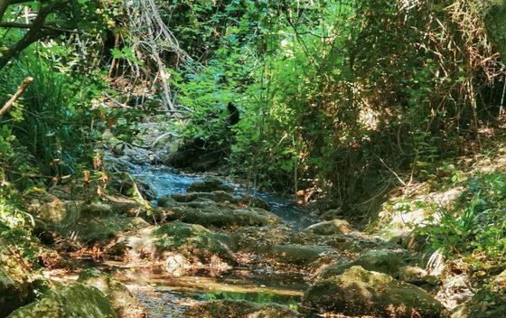 Labin - Rabac planinarske staze - 8