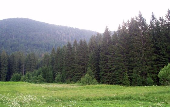 Kuća za odmor Sanjam Liku - 16