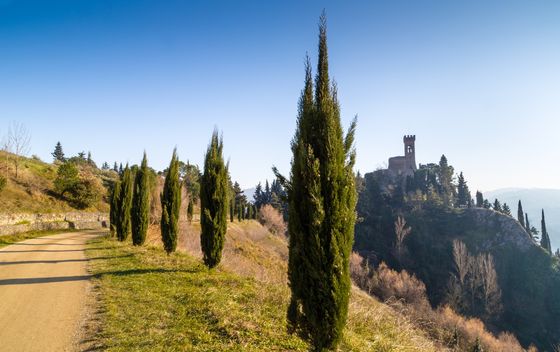 Emilia Romagna - 4