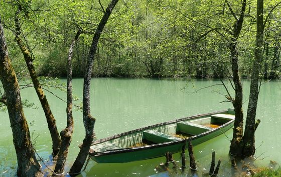 Mrežnica - 3