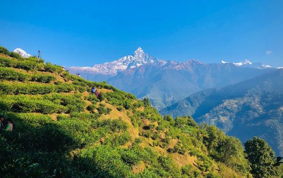 Machhapuchhare - 2