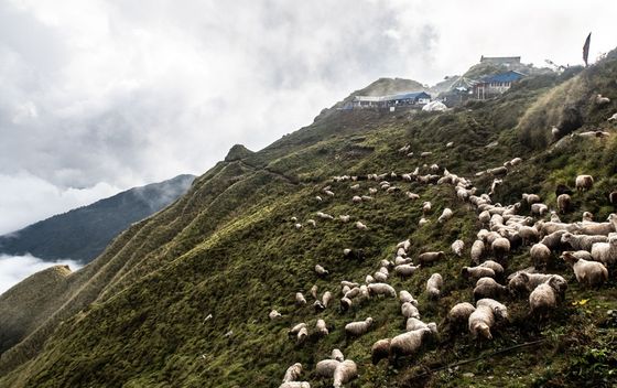 Machhapuchhare - 3