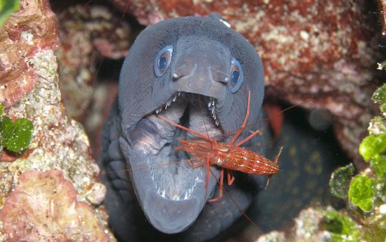 Hrvatska kakva se rijetko viđa - 7