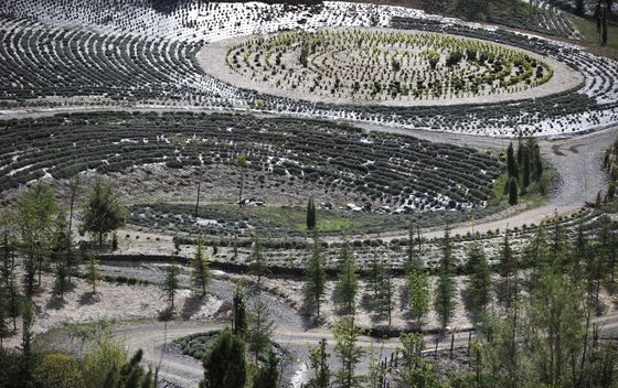 Park