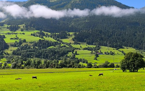 Zell am See - 4