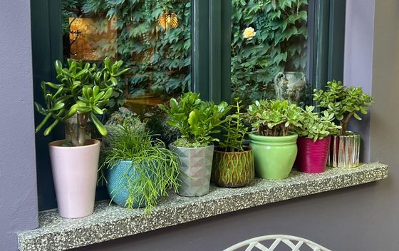 Beška u Čakovcu - 8