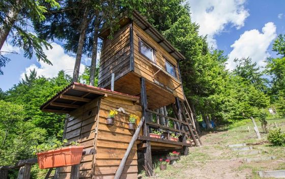 Tree House Gorski Lazi - 21
