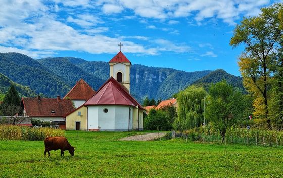 Dan šljiva i Dan jabuka u Gorskom kotaru - 7