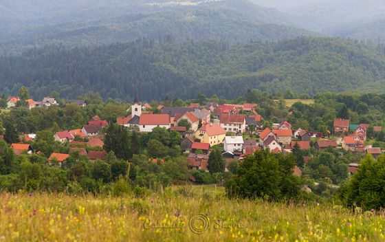 Dan šljiva i Dan jabuka u Gorskom kotaru - 8