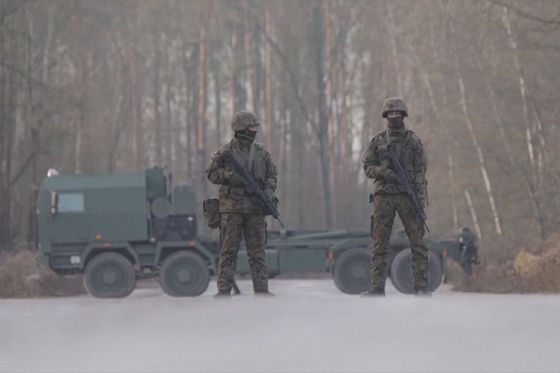 Poljska vojska - 1