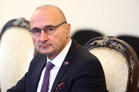 Gordan Grlić Radman