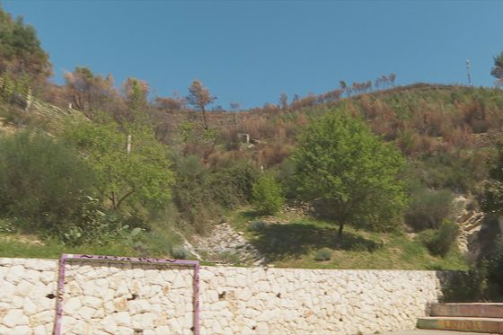 Dalmacija sigurna od mina