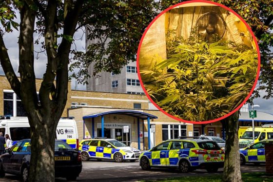 Britanska policija, ilustracija