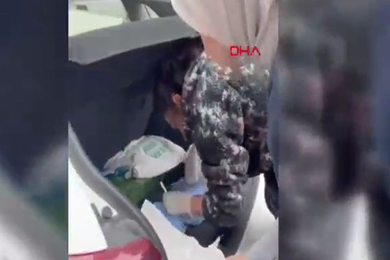 Veterinarka u Istanbulu usred operacije