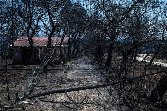 Požari u Grčkoj (Foto: AFP)