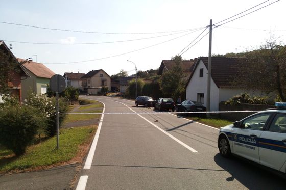 Prometna nesreća kod Pleternice (Foto: PU požeško-slavonska)