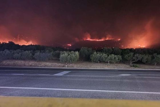 Fotografije s požarišta kod Trogira - 4