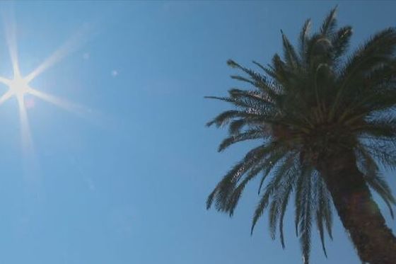 Sunce