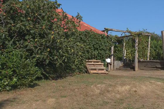 Tragedija u Velikoj Ludini