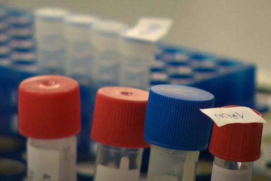 Koronavirus: Dolazi novi soj, omikron - 1