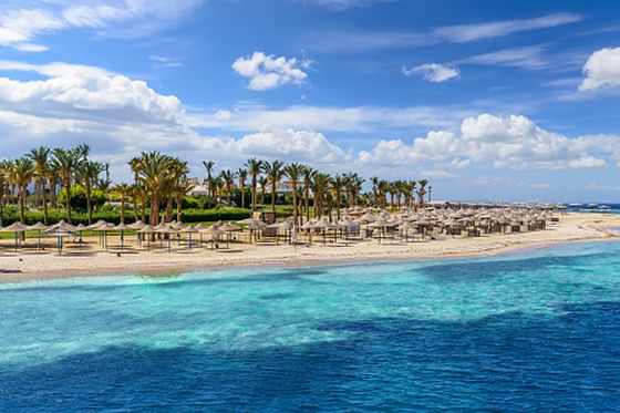 Marsa Alam, ilustracija