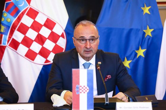 Goran Grlić Radman