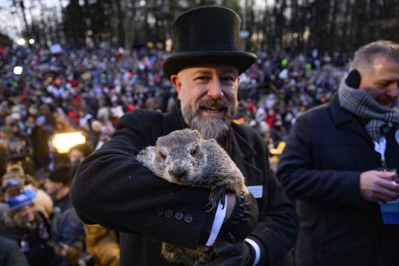 Punxsutawney Phil, najpoznatiji svizac na svijetu