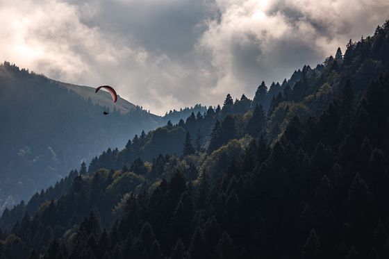 Paraglajder iznad šume, ilustracija