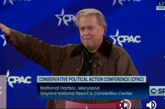 Steve Bannon