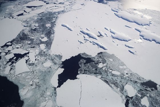 Antarktika (Foto: AFP)