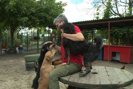 Osječki azil poziva u pomoć (Foto: Dnevnik.hr) - 2