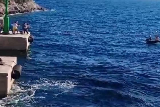 Lokalni ljudi u Papratnom konopom su pomogli trajektu Velun da pristane