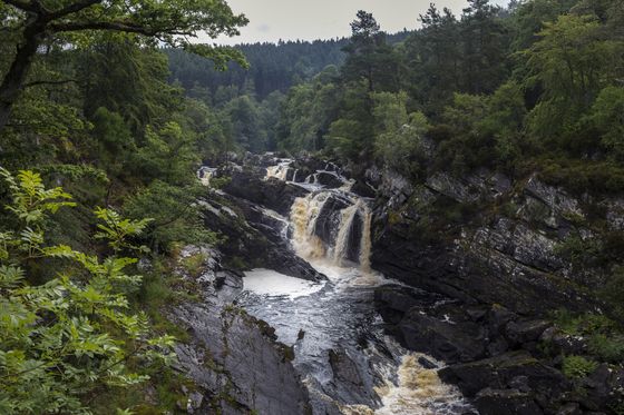 Rogie Falls
