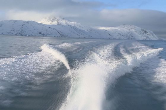 Grenland - 1