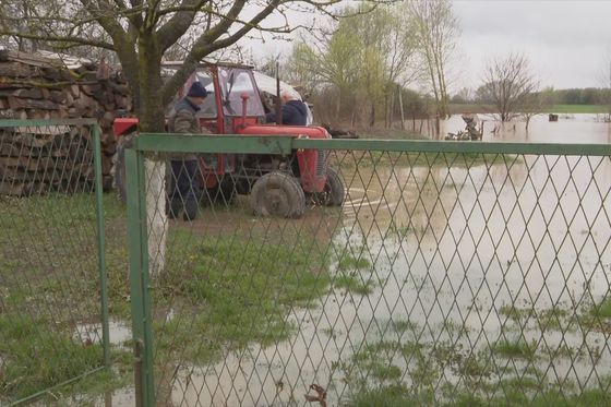 Poplave u Slavoniji - 4