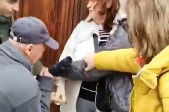 Napad u Nišu na dekanicu