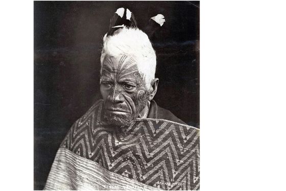 Poglavica naroda Maori u kosi nosi pero ptice huia