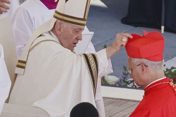 Papa Franjo i papa Lav XIV.